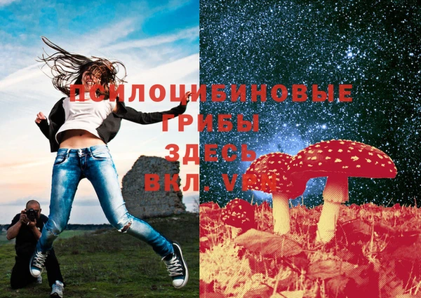 прущий лед Нея