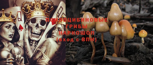 прущий лед Нея