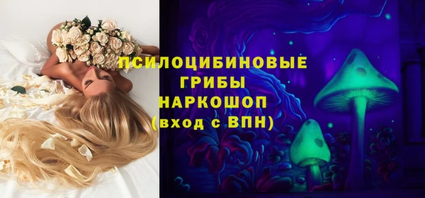 хмурый Малоархангельск