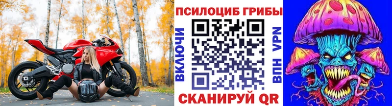 Купить где  Звенигород  Галлюциногенные грибы мухоморы 